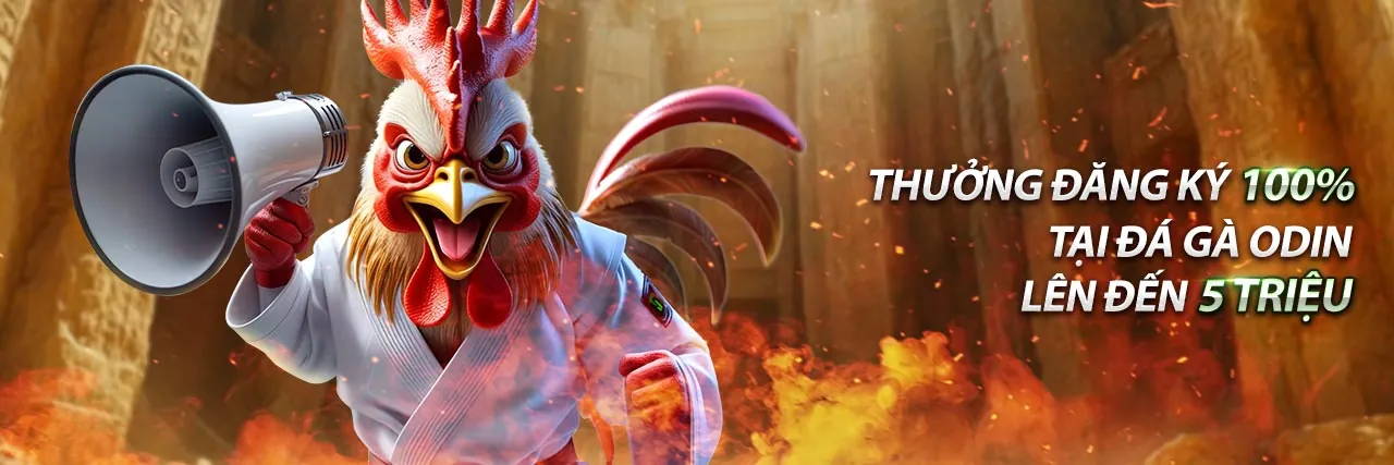 Sân đấu đá gà trực tuyến sôi động tại 8kbet123 Login